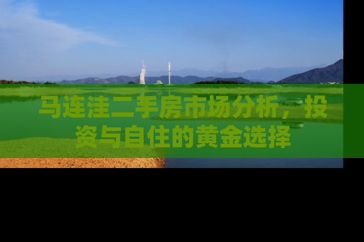 马连洼二手房市场分析，投资与自住的黄金选择