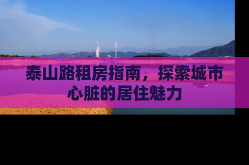 泰山路租房指南，探索城市心脏的居住魅力