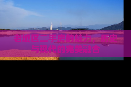 老城区二手房的魅力，历史与现代的完美融合