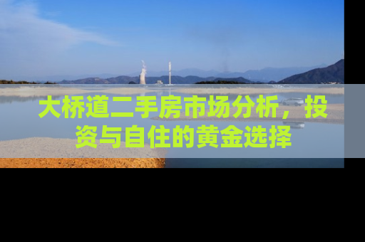 大桥道二手房市场分析，投资与自住的黄金选择