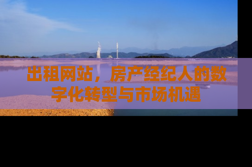 出租网站，房产经纪人的数字化转型与市场机遇