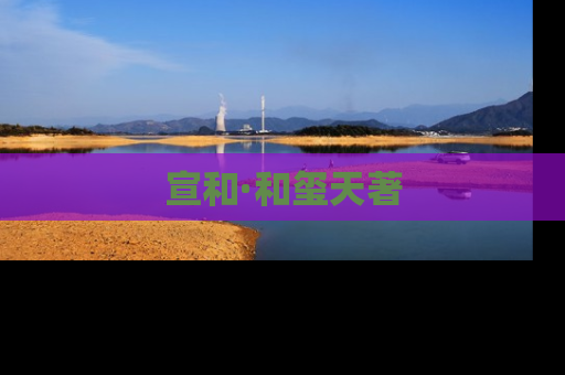 宣和·和玺天著