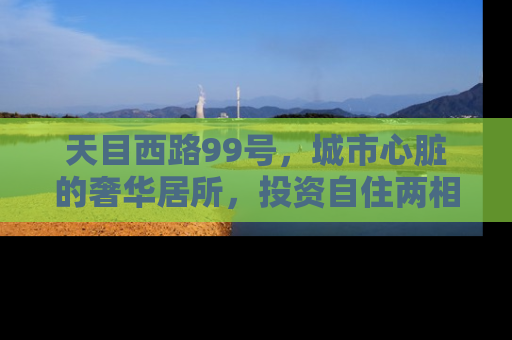 天目西路99号，城市心脏的奢华居所，投资自住两相宜