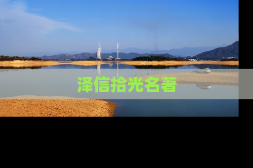 泽信拾光名著