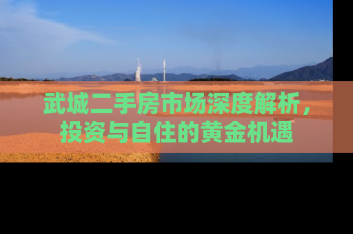 武城二手房市场深度解析，投资与自住的黄金机遇
