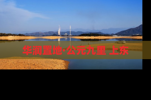 华润置地·公元九里 上东