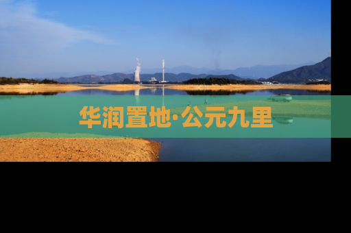 华润置地·公元九里