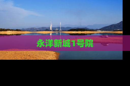 永洋新城1号院