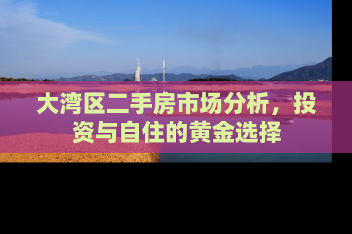 大湾区二手房市场分析，投资与自住的黄金选择