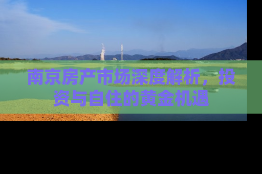 南京房产市场深度解析，投资与自住的黄金机遇