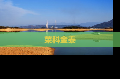 荣科金泰