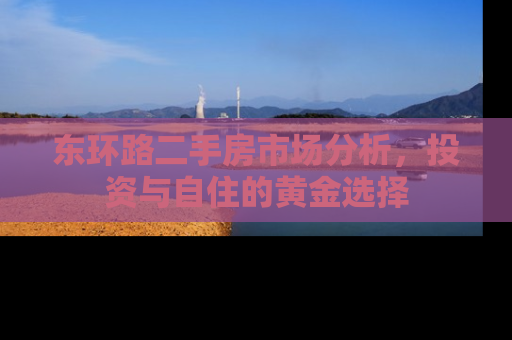东环路二手房市场分析，投资与自住的黄金选择