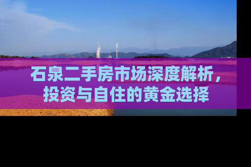 石泉二手房市场深度解析，投资与自住的黄金选择