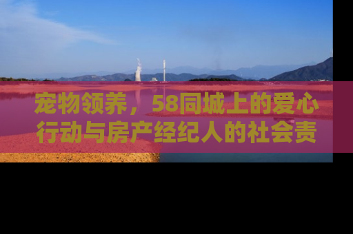 宠物领养，58同城上的爱心行动与房产经纪人的社会责任