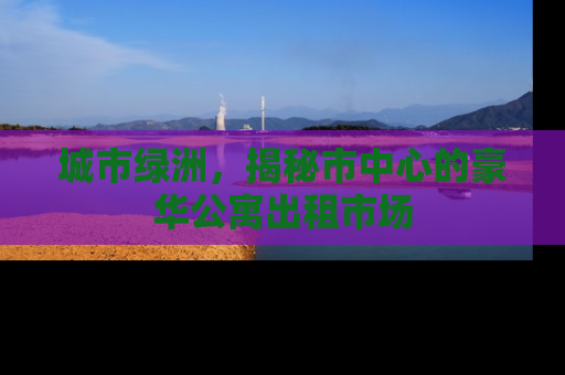 城市绿洲，揭秘市中心的豪华公寓出租市场