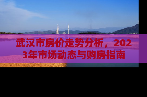 武汉市房价走势分析，2023年市场动态与购房指南