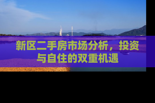 新区二手房市场分析，投资与自住的双重机遇