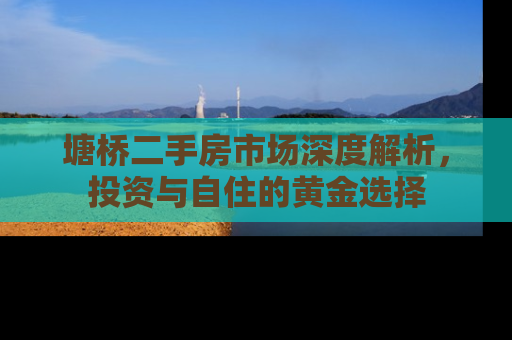 塘桥二手房市场深度解析，投资与自住的黄金选择