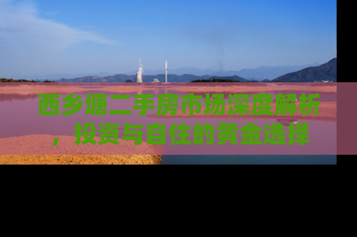 西乡塘二手房市场深度解析，投资与自住的黄金选择