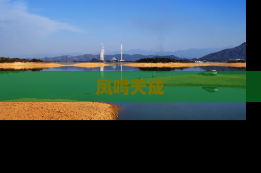 凤鸣天成
