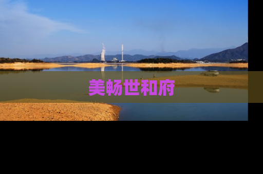 美畅世和府