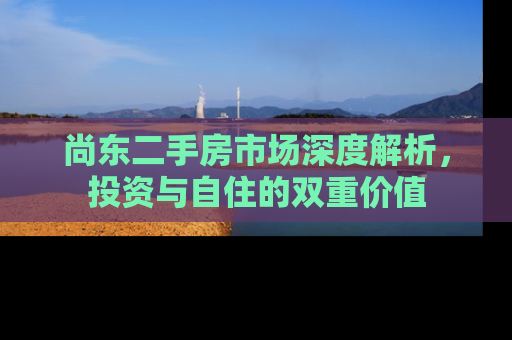 尚东二手房市场深度解析，投资与自住的双重价值
