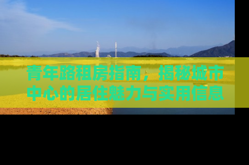 青年路租房指南，揭秘城市中心的居住魅力与实用信息