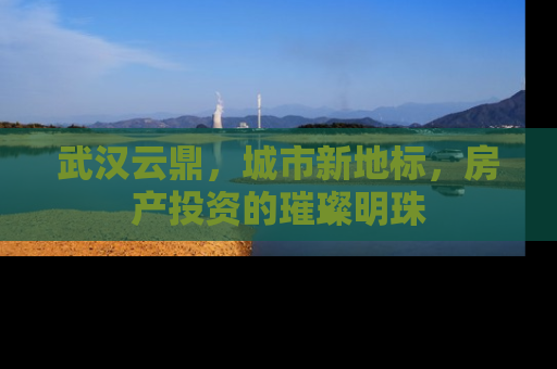 武汉云鼎，城市新地标，房产投资的璀璨明珠