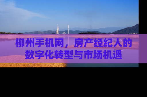 柳州手机网，房产经纪人的数字化转型与市场机遇