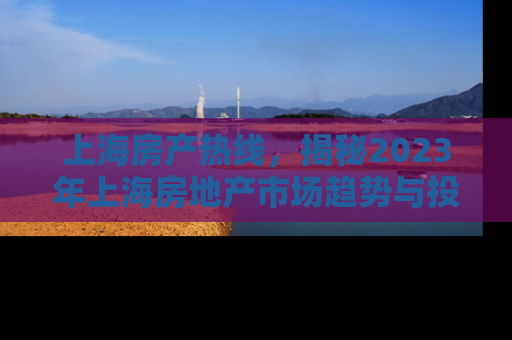 上海房产热线，揭秘2023年上海房地产市场趋势与投资指南