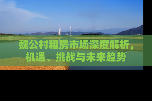 魏公村租房市场深度解析，机遇、挑战与未来趋势