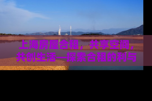 上海房屋合租，共享空间，共创生活—探索合租的利与弊