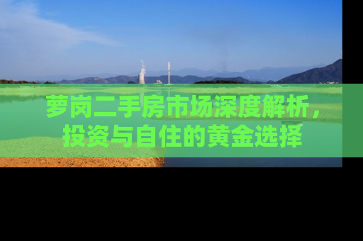 萝岗二手房市场深度解析，投资与自住的黄金选择