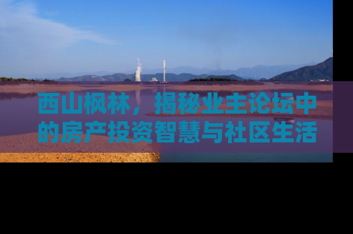 西山枫林，揭秘业主论坛中的房产投资智慧与社区生活