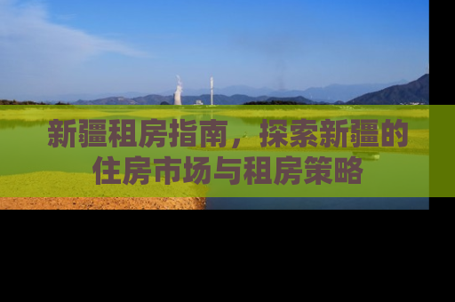 新疆租房指南，探索新疆的住房市场与租房策略