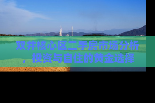 双井核心区二手房市场分析，投资与自住的黄金选择