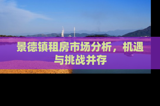 景德镇租房市场分析，机遇与挑战并存
