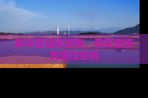 新华区租房指南，寻找理想的居住空间