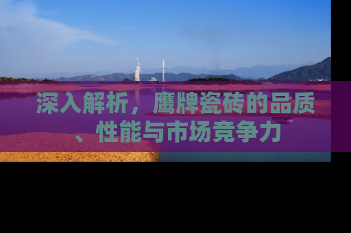 深入解析，鹰牌瓷砖的品质、性能与市场竞争力