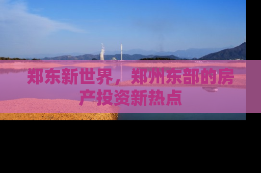郑东新世界，郑州东部的房产投资新热点
