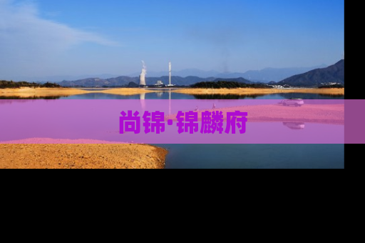 尚锦·锦麟府