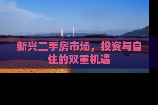 新兴二手房市场，投资与自住的双重机遇