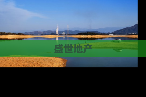 盛世地产