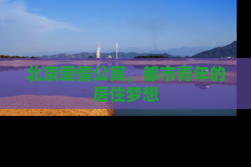 北京爱情公寓，都市青年的居住梦想