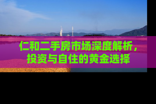 仁和二手房市场深度解析，投资与自住的黄金选择