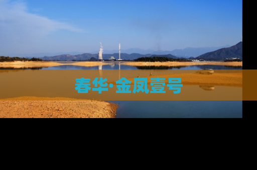 春华·金凤壹号