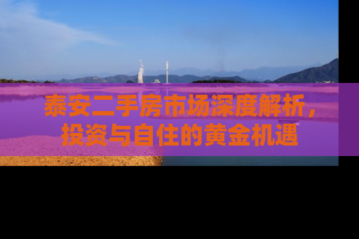 泰安二手房市场深度解析，投资与自住的黄金机遇