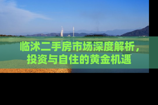 临沭二手房市场深度解析，投资与自住的黄金机遇