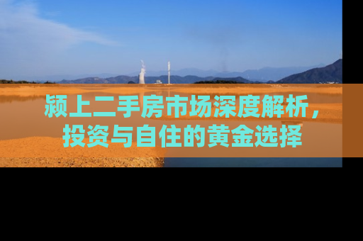 颍上二手房市场深度解析，投资与自住的黄金选择