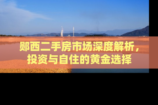 郧西二手房市场深度解析，投资与自住的黄金选择